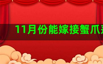 11月份能嫁接蟹爪莲吗