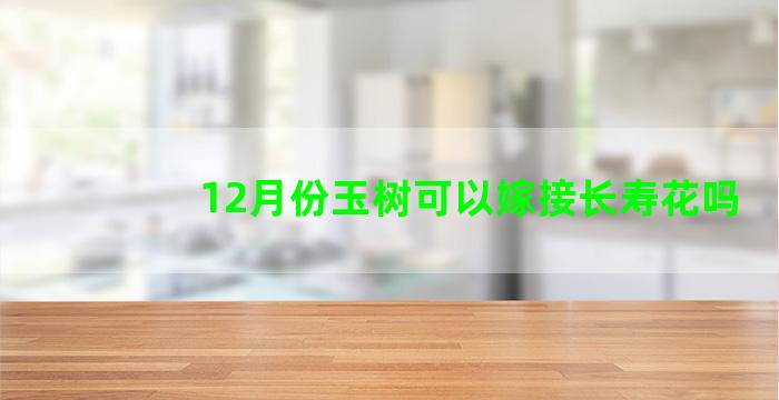 12月份玉树可以嫁接长寿花吗