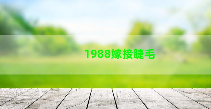 1988嫁接睫毛