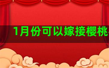 1月份可以嫁接樱桃树吗