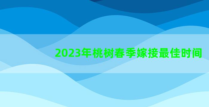 2023年桃树春季嫁接最佳时间