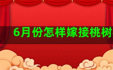 6月份怎样嫁接桃树枝条