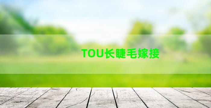 TOU长睫毛嫁接