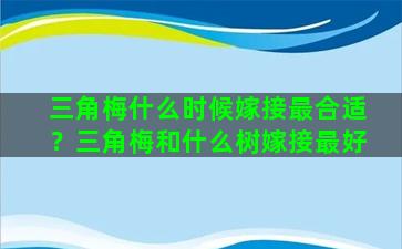 三角梅什么时候嫁接最合适？三角梅和什么树嫁接最好