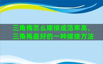 三角梅怎么嫁接成活率高，三角梅最好的一种嫁接方法