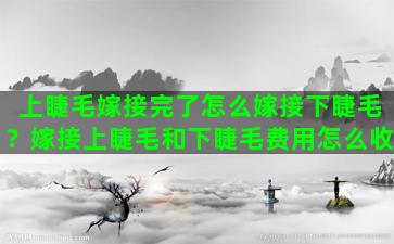 上睫毛嫁接完了怎么嫁接下睫毛？嫁接上睫毛和下睫毛费用怎么收