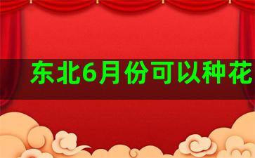 东北6月份可以种花生吗