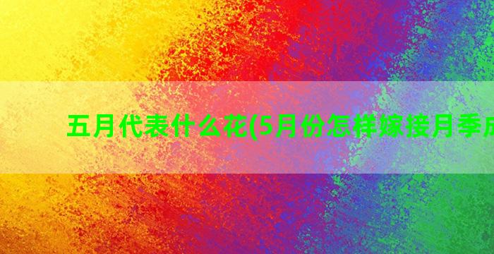 五月代表什么花(5月份怎样嫁接月季成活高)