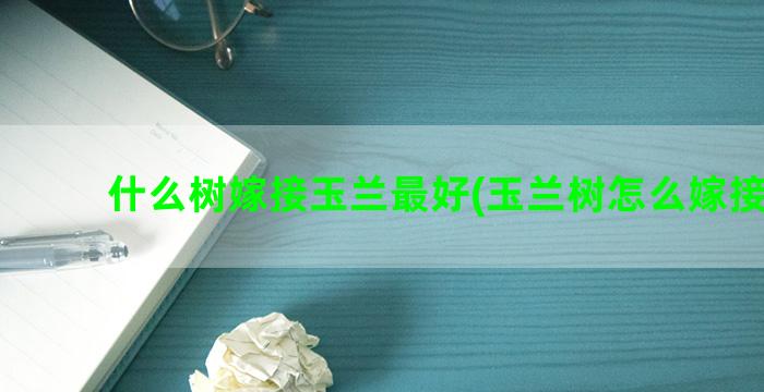 什么树嫁接玉兰最好(玉兰树怎么嫁接位置)