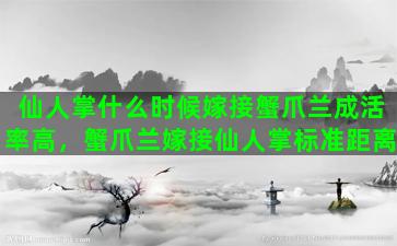 仙人掌什么时候嫁接蟹爪兰成活率高，蟹爪兰嫁接仙人掌标准距离