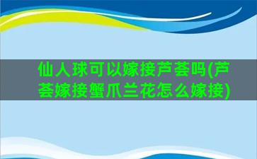 仙人球可以嫁接芦荟吗(芦荟嫁接蟹爪兰花怎么嫁接)