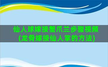 仙人球嫁接蟹爪兰步骤视频(龙骨嫁接仙人掌的方法)