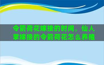 令箭荷花嫁接的时间，仙人掌嫁接的令箭荷花怎么养殖