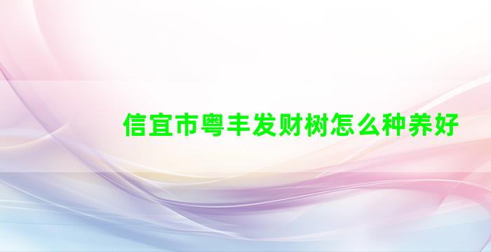 信宜市粤丰发财树怎么种养好