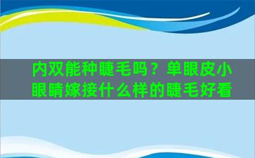 内双能种睫毛吗？单眼皮小眼睛嫁接什么样的睫毛好看