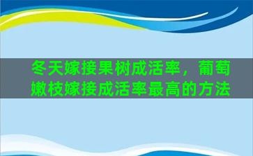 冬天嫁接果树成活率，葡萄嫩枝嫁接成活率最高的方法