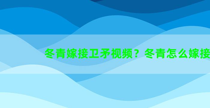 冬青嫁接卫矛视频？冬青怎么嫁接