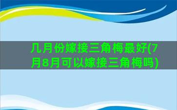 几月份嫁接三角梅最好(7月8月可以嫁接三角梅吗)