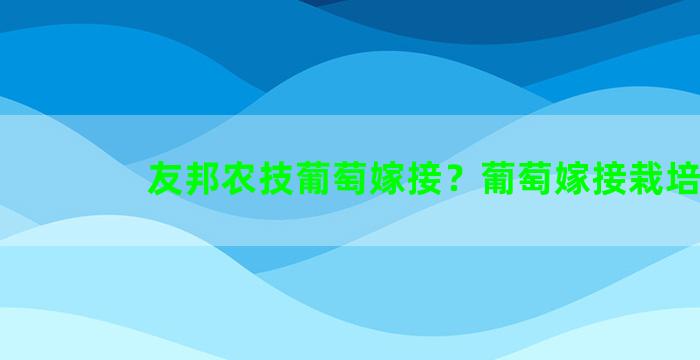 友邦农技葡萄嫁接？葡萄嫁接栽培