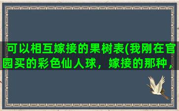 可以相互嫁接的果树表(我刚在官园买的彩色仙人球，嫁接的那种，不知道怎么养)