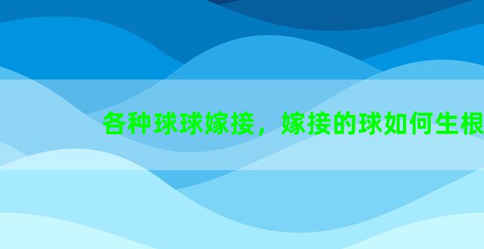 各种球球嫁接，嫁接的球如何生根