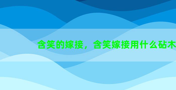 含笑的嫁接，含笑嫁接用什么砧木