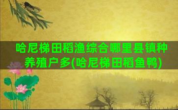 哈尼梯田稻渔综合哪里县镇种养殖户多(哈尼梯田稻鱼鸭)