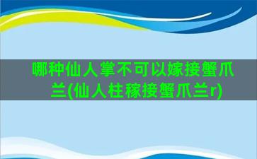 哪种仙人掌不可以嫁接蟹爪兰(仙人柱稼接蟹爪兰r)