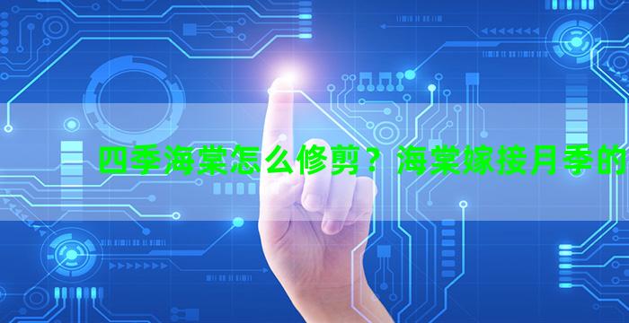 四季海棠怎么修剪？海棠嫁接月季的方法