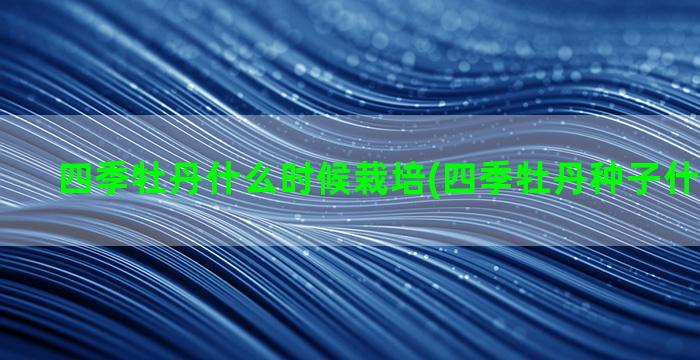 四季牡丹什么时候栽培(四季牡丹种子什么时候种)