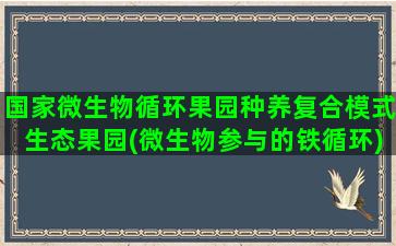 国家微生物循环果园种养复合模式生态果园(微生物参与的铁循环)