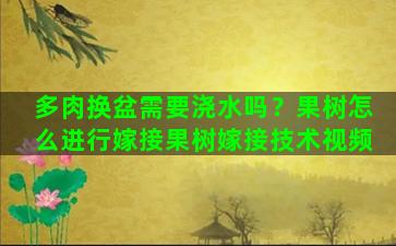 多肉换盆需要浇水吗？果树怎么进行嫁接果树嫁接技术视频