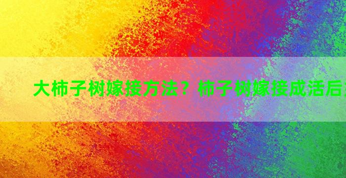 大柿子树嫁接方法？柿子树嫁接成活后如何修剪