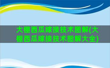 大棚西瓜嫁接技术图解(大棚西瓜嫁接技术图解大全)