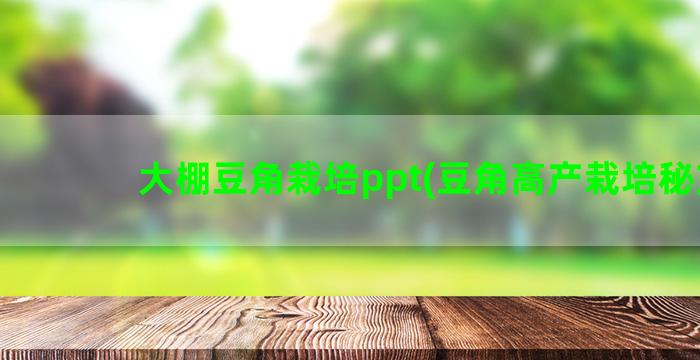 大棚豆角栽培ppt(豆角高产栽培秘方)