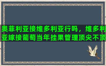 奥菲利亚接维多利亚行吗，维多利亚嫁接葡萄当年挂果管理顶尖不顶尖