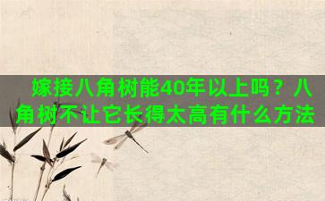 嫁接八角树能40年以上吗？八角树不让它长得太高有什么方法