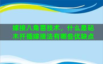 嫁接八角苗技术，什么是砧木扦插嫁接法有哪些优缺点