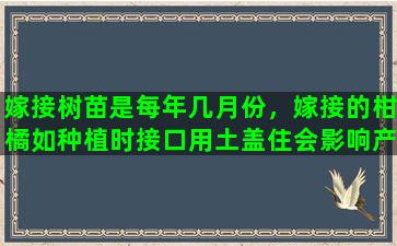 嫁接树苗是每年几月份，嫁接的柑橘如种植时接口用土盖住会影响产量吗