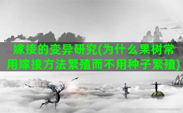 嫁接的变异研究(为什么果树常用嫁接方法繁殖而不用种子繁殖)