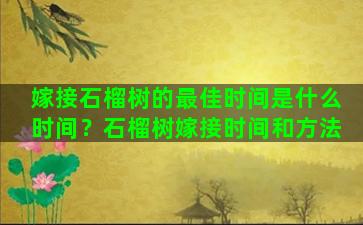 嫁接石榴树的最佳时间是什么时间？石榴树嫁接时间和方法