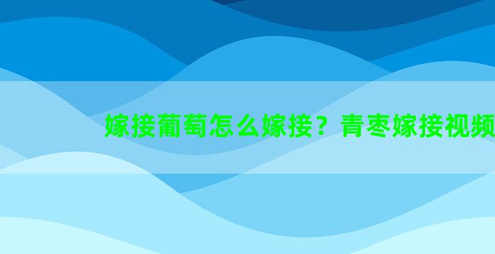 嫁接葡萄怎么嫁接？青枣嫁接视频