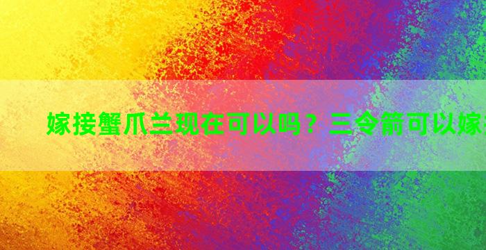 嫁接蟹爪兰现在可以吗？三令箭可以嫁接蟹爪兰