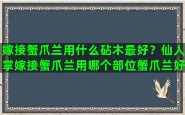 嫁接蟹爪兰用什么砧木最好？仙人掌嫁接蟹爪兰用哪个部位蟹爪兰好