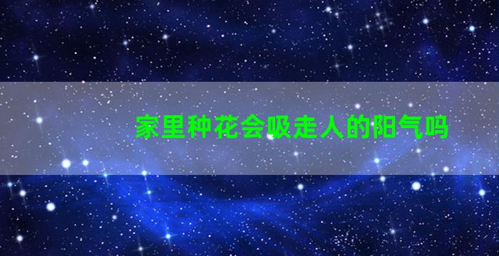 家里种花会吸走人的阳气吗