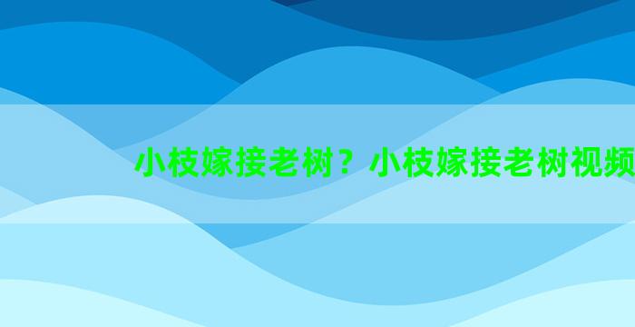 小枝嫁接老树？小枝嫁接老树视频