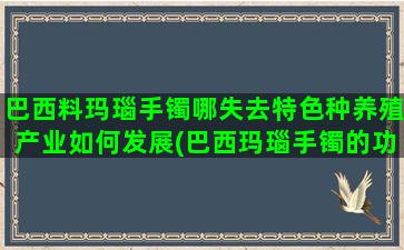 巴西料玛瑙手镯哪失去特色种养殖产业如何发展(巴西玛瑙手镯的功效与作用)