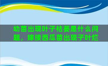 幼苗出现叶子枯萎是什么问题，嫁接西瓜苗出现子叶烂