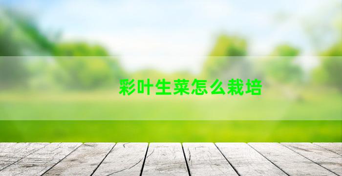 彩叶生菜怎么栽培