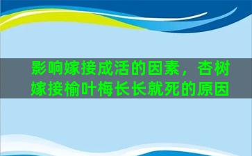 影响嫁接成活的因素，杏树嫁接榆叶梅长长就死的原因